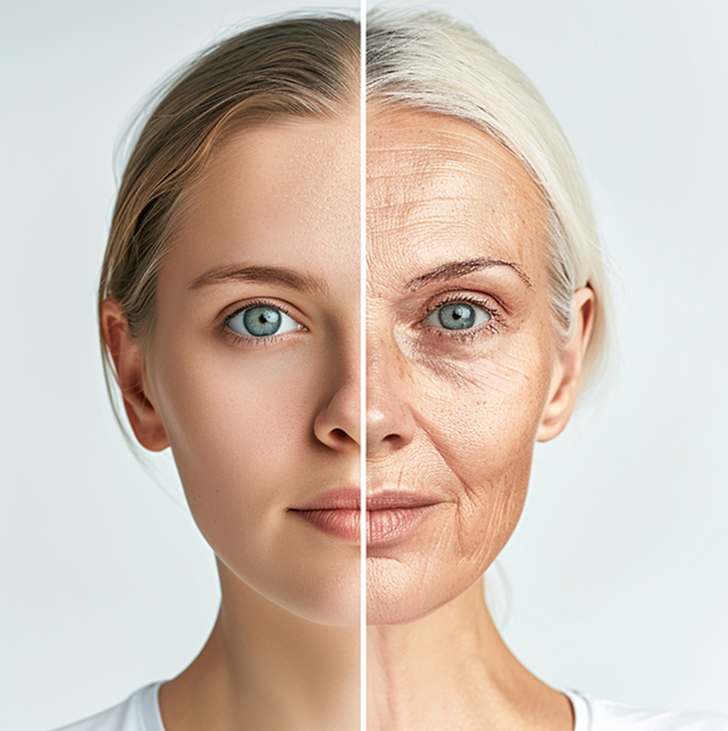 see_the_transformation_img